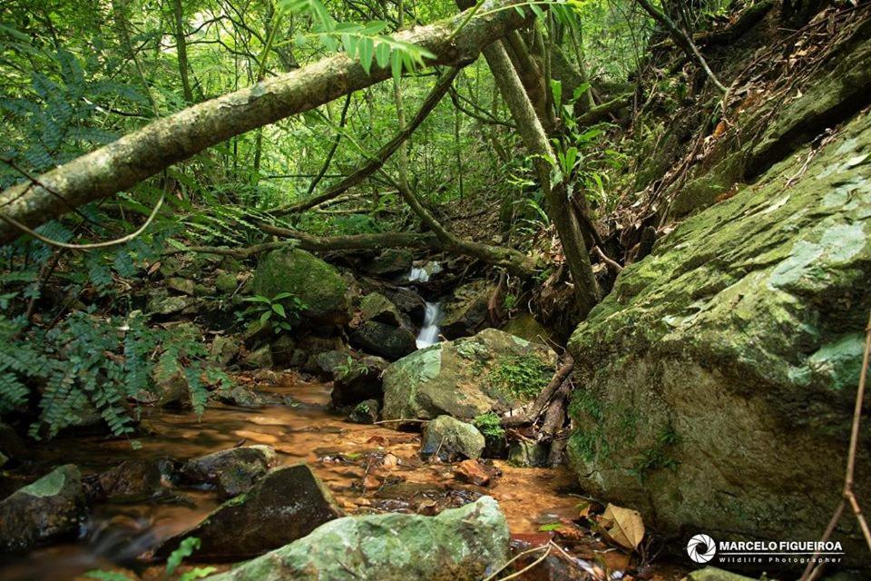 فيلا Sitio Serra Das Paineiras Jundiaí المظهر الخارجي الصورة